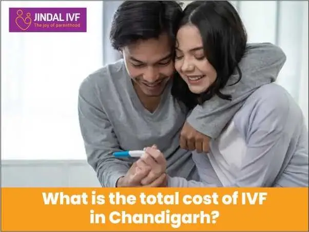 What is the Total Cost of IVF in Chandigarh?
