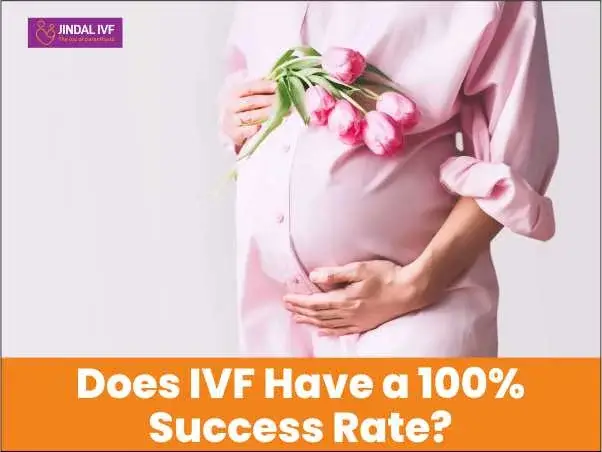 Does IVF Have a 100% Success Rate?