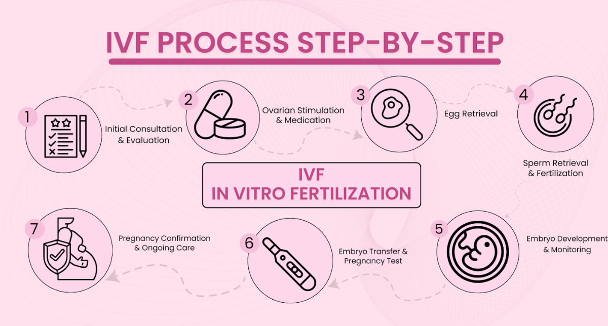IVF Treatment Process: Step-by-Step Guide to an IVF Cycle