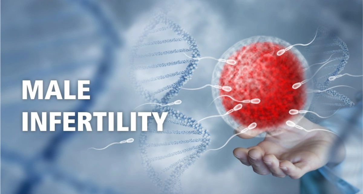 Male Infertility: Causes, Symptoms, Diagnosis and Treatment