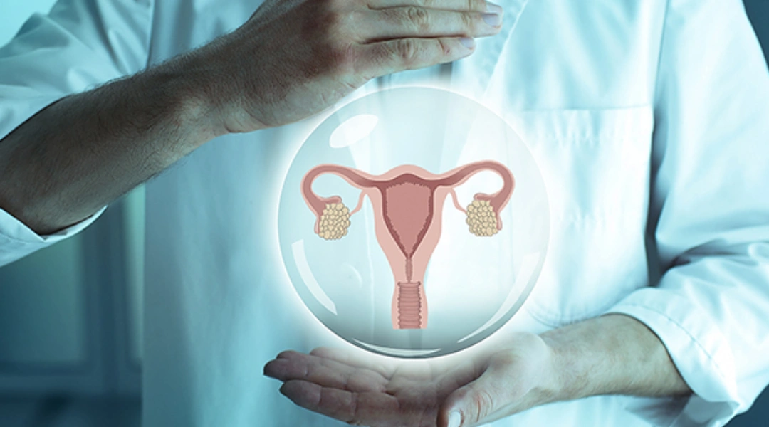 Ovarian Reserve Testing: What It Really Tells You About Your Fertility