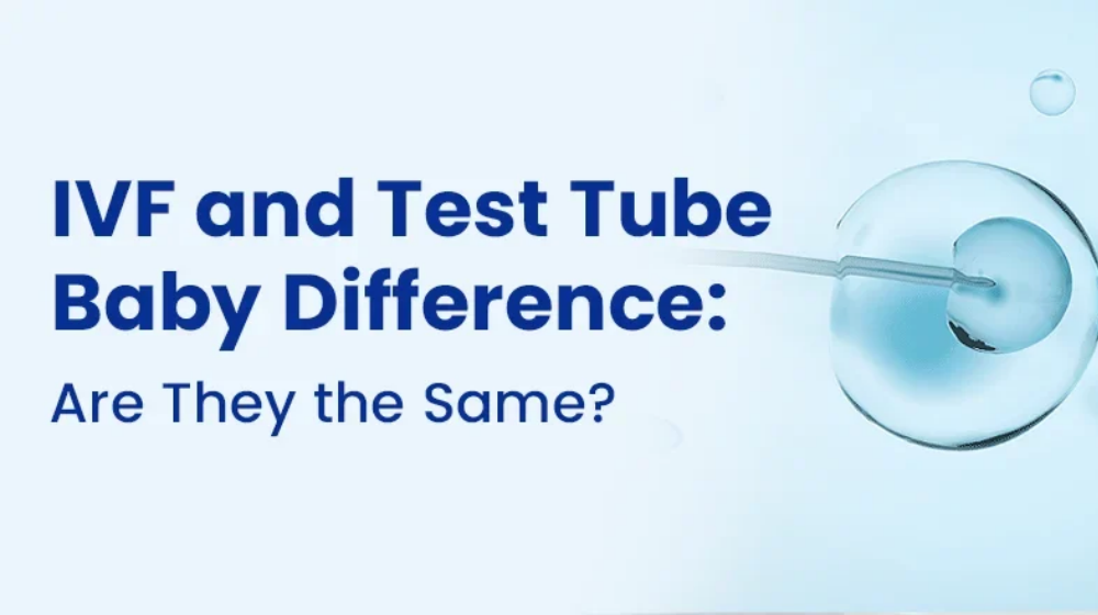 IVF vs Test Tube Baby: What’s the Difference?
